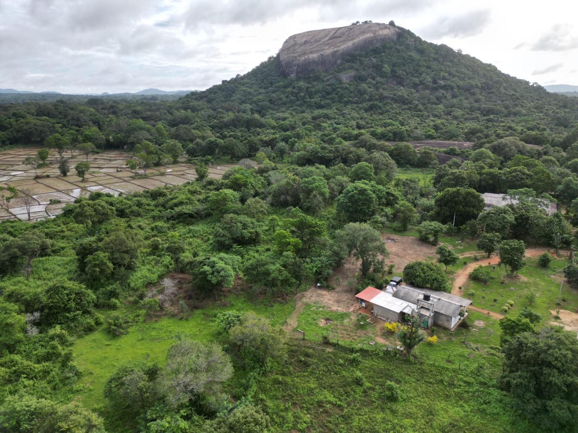Sigiri Arana Sigiriya Ξενοδοχείο Εξωτερικό φωτογραφία